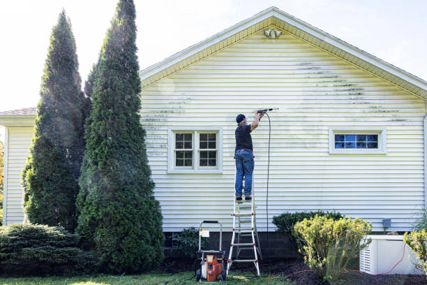 Professional Pressure Washing in Richwood, TX